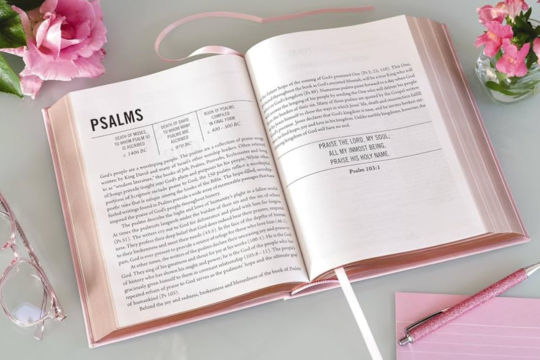 The Jesus Bible NIV